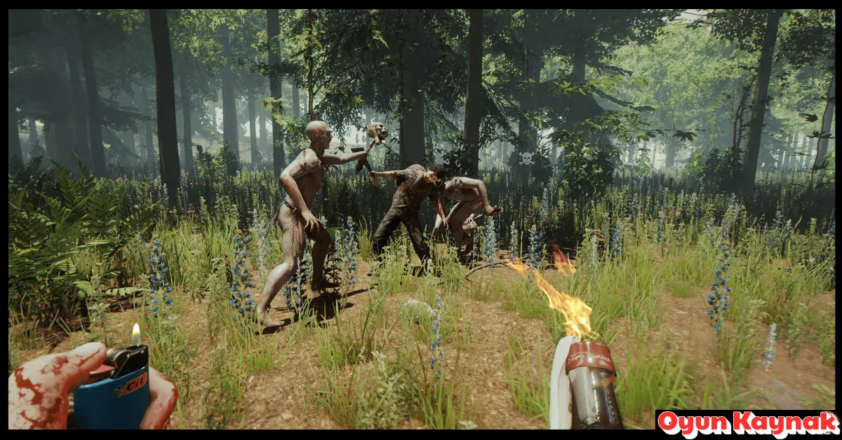The Forest