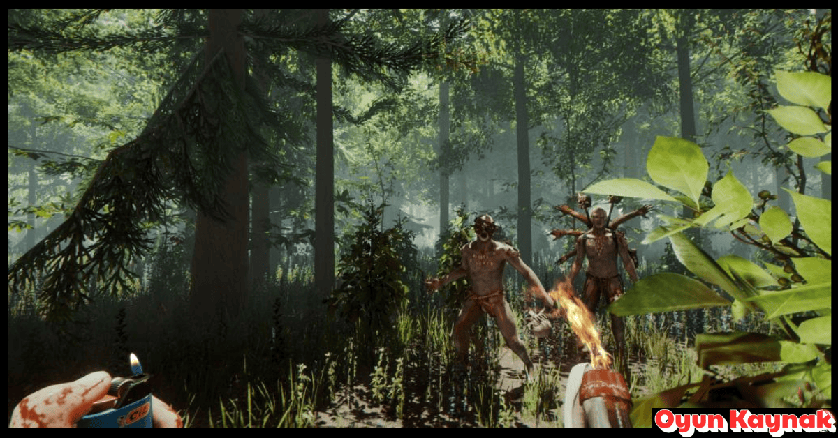 The Forest